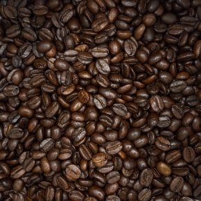 Dala Medium Bio Café Népal