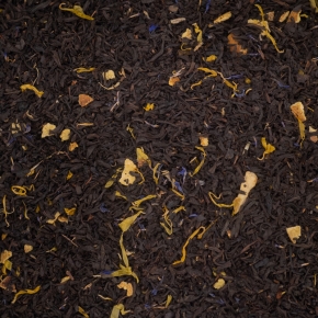 Lady and Mister Grey BIO