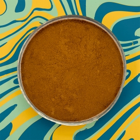 cacao en poudre 100% Bio