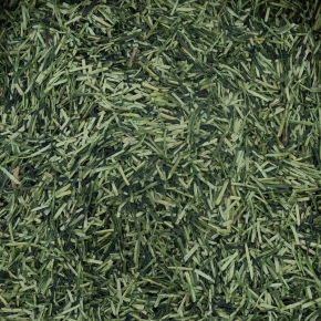 Shincha Karigane Bio
