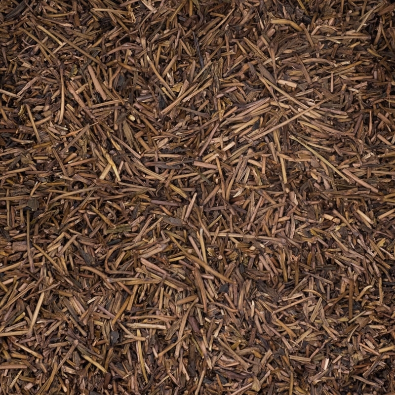 Sannenbancha BIO