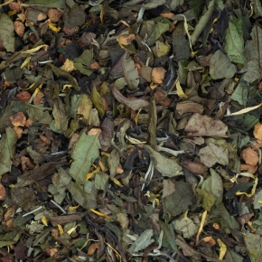 Symphonie de Printemps BIO