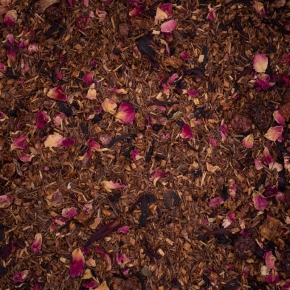 Soleil rouge des bois