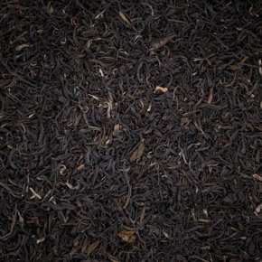 Jasmin du Vietnam BIO